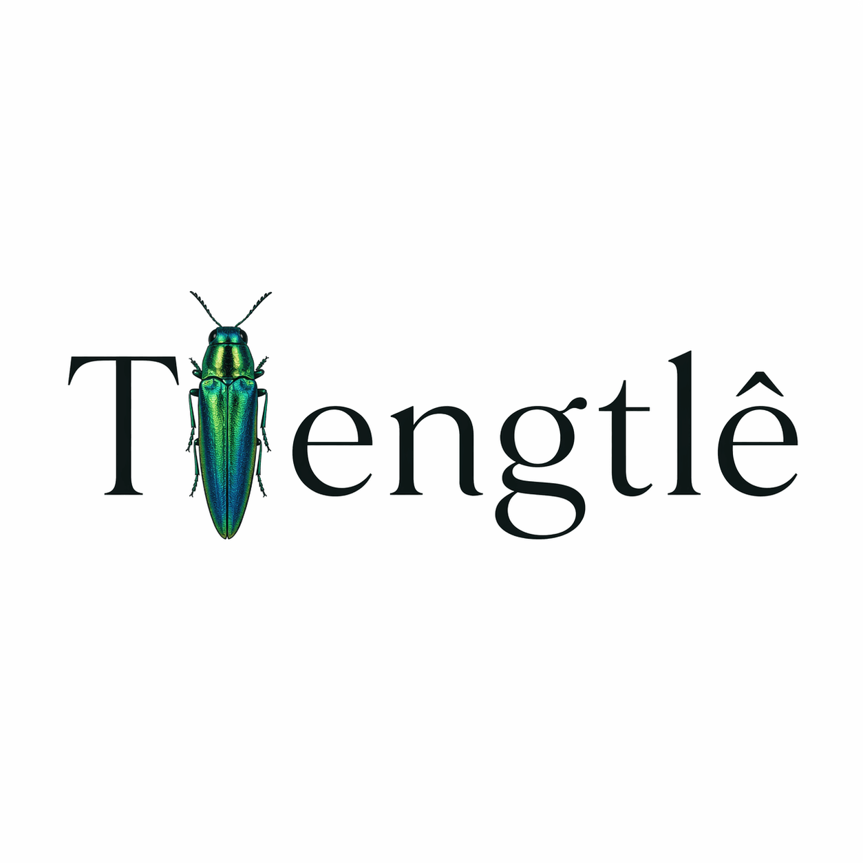 Tlengtlê logo